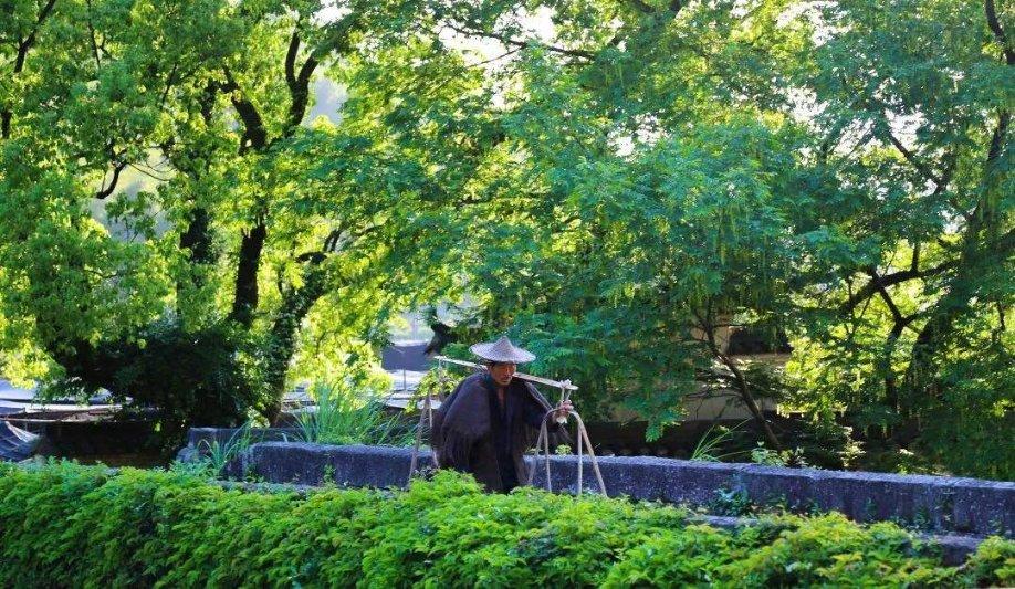 浙江建成公园占全国6.7%，全国第三 全省公园绿地改造提升方案设计竞赛复审会举行