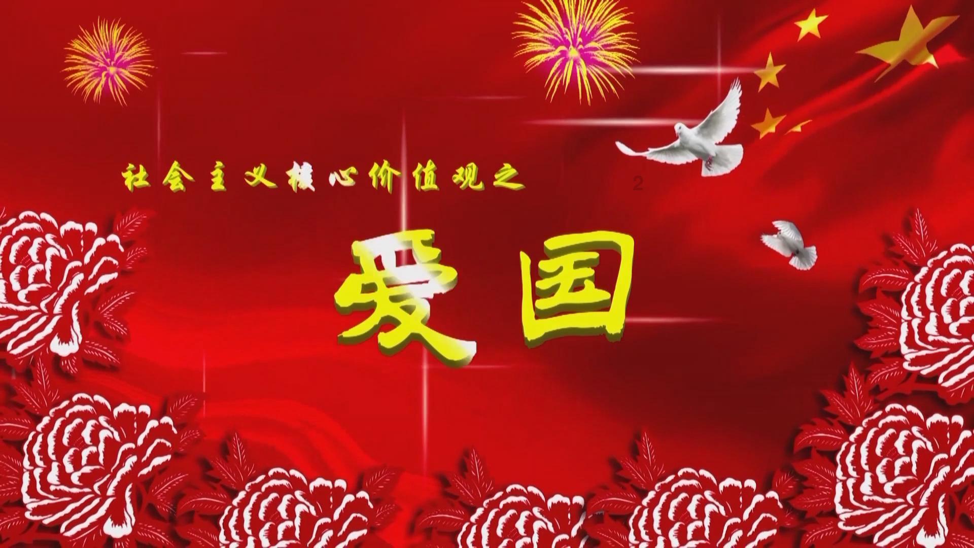 “铲屎官”可以带猫猫乘车了!广东省站宠物猫乘车服务专线正式开通