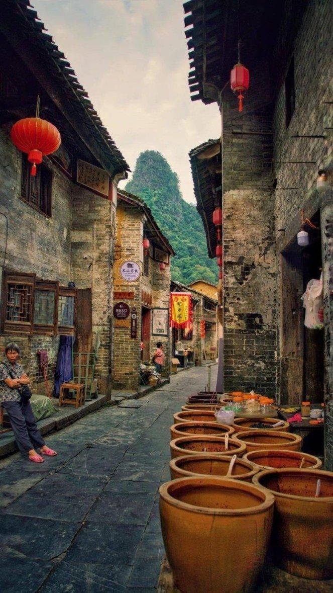 “铲屎官”可以带猫猫乘车了!广东省站宠物猫乘车服务专线正式开通